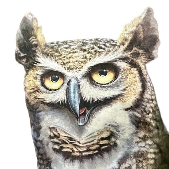 The Mountain Wise Owl Graphic T-Shirt Brown Unisex Size L Crew Neck - Picture 4 of 4